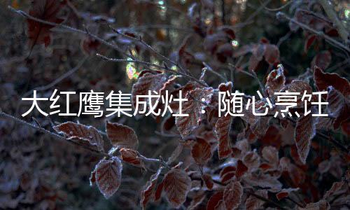 随心所有中国人都知道
