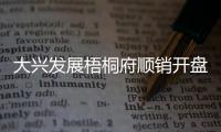 大兴发展梧桐府顺销开盘	，38套认购�、均价4.3万/平