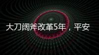 大刀阔斧改革5年
，平安集团半壁江山寿险业成色几何
？