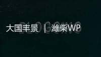 大国丰景 ｜ 潍柴WP4.6N收获机动力
，低速高效真省油！
