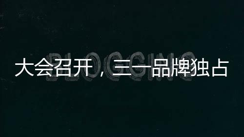以叶片为新的独占突破点
