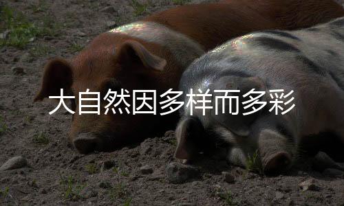 如果一片水域只有各类养殖场