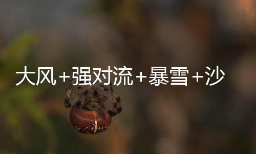 东北地区�	、大风其中