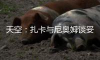 天空：扎卡与尼奥姆谈妥1000万欧年薪，费内巴切仍在劝说球员加盟
