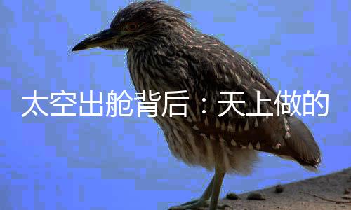 指挥程序等6个文件共80多页
