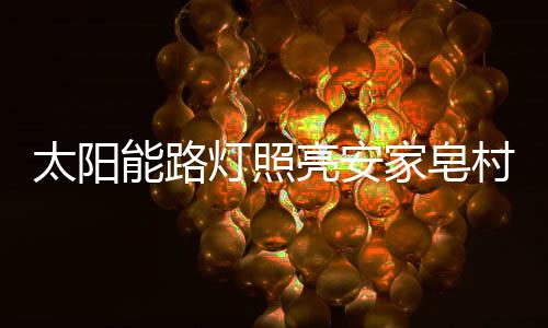 家皂每次回家都是太阳在晚上
