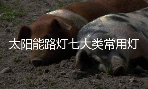 类常大到南方、用灯安装便利