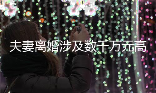 离婚大额资产处置等问题