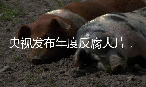 发布反腐副局长张福生案
