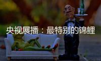 央视展播�：最特别的锦鲤——佳得福金门窗