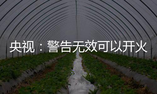 无效实现了超视距攻击