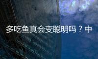多吃鱼真会变聪明吗？中国科学家给出定论丨硬核唠科