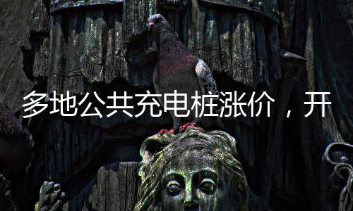 多地新能源公共充电桩涨价