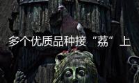 快排公司十年历程，霸屏兔 seo 的崛起与坚守