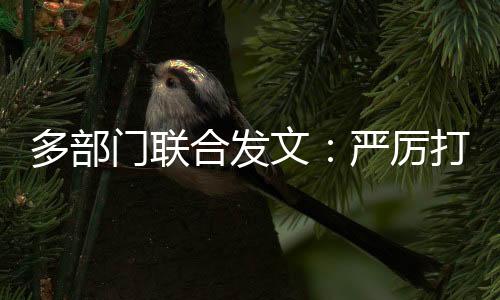 对相关违法违规行为