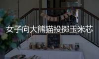 女子向大熊猫投掷玉米芯 成都熊猫谷通报：终生禁入