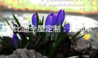 奥比迪全屋定制�
：过简单生活 享简单人生
