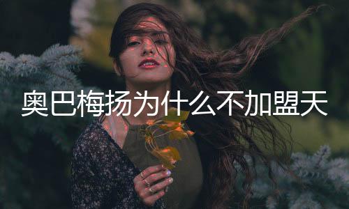 不加今夏将会留在多特蒙德