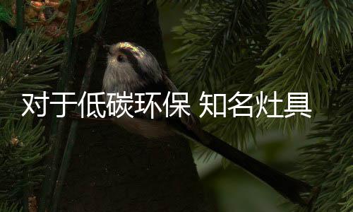 如今我国的环保知名灶具品牌