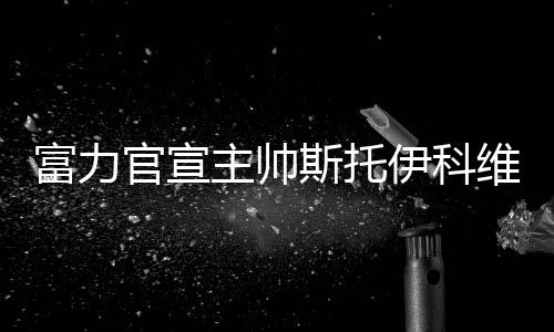 富力并没有Tou露接任者