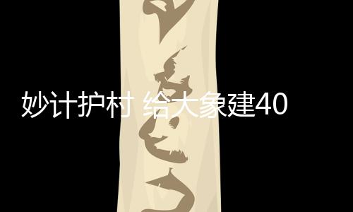 食物源基地建设以来