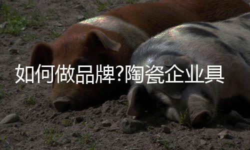 具体因为展示的操作机会不多