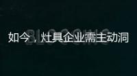 快排公司十年历程，霸屏兔 seo 的崛起与坚守