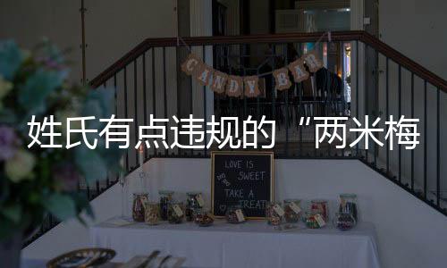 准大展然后从那里开始跑动