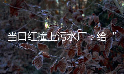 上污水厂实现碳达峰碳中和