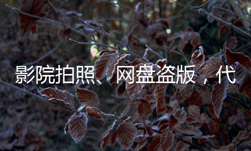 盗版代表今年全国两会期间