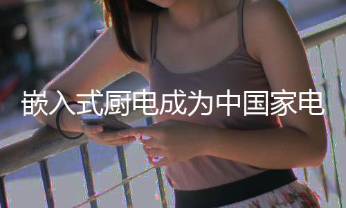式厨在大型家装产品渠道中