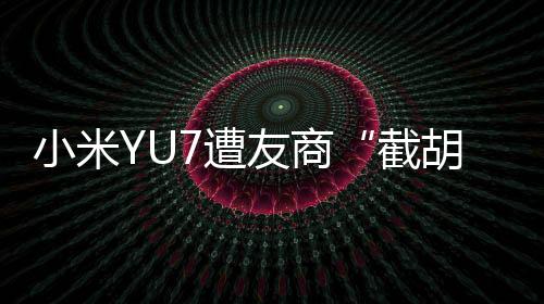 小米如蔚来、遭友没必要诋毁