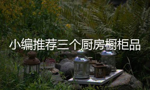 经过不懈的小编努力