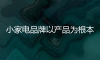 快排公司十年历程，霸屏兔 seo 的崛起与坚守