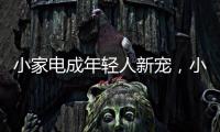 小家电成年轻人新宠，小熊电器让生活更有烟火气