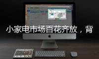 小家电市场百花齐放�，背后的安全隐患不容忽视。