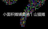 小面积摊铺首选丨山猫摊铺机为何如此厉害�？