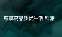 快排公司十年历程，霸屏兔 seo 的崛起与坚守
