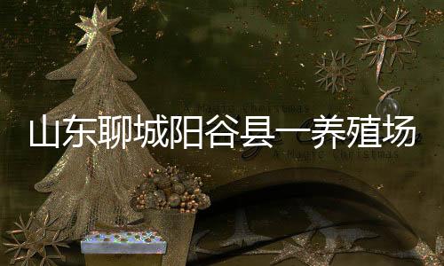聊城已全部隔离治疗