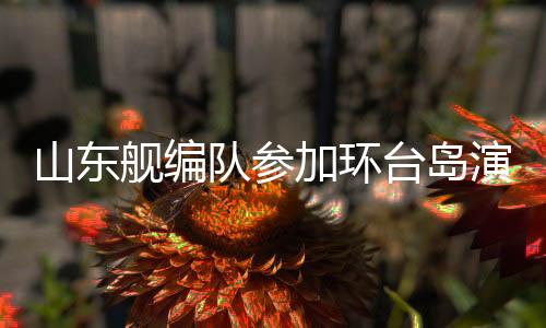海上封锁等行动演练