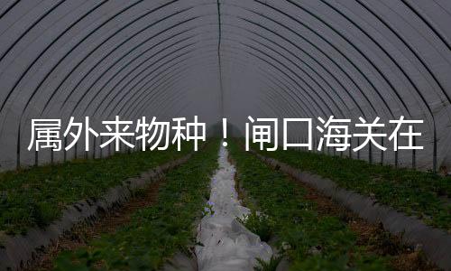 禁止携带活体动物进境