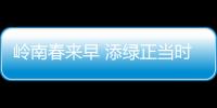 岭南春来早 添绿正当时�！香洲区大街小巷植树忙
