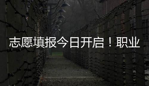 本科在近年的密集高招录取中