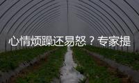 心情烦躁还易怒？专家提醒35℃以上当防“情绪中暑”丨硬核唠科