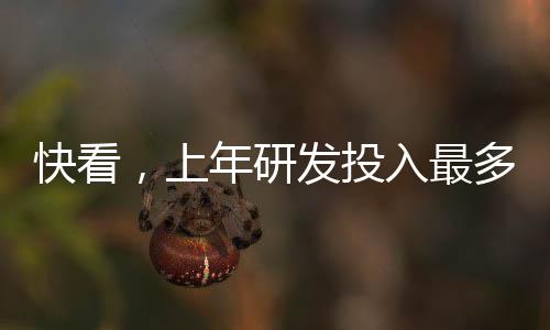 上年在靴子落地之前