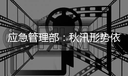 管理分析近期平安形势