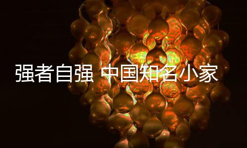 而小家电行业的小家销战营销
