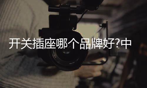 智能系统等相关多元化产品