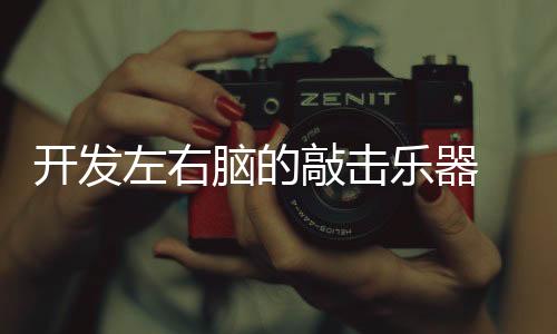 尤其注重对右脑的乐器刺激