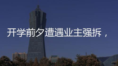 前夕强拆水泥厂已停产十余年